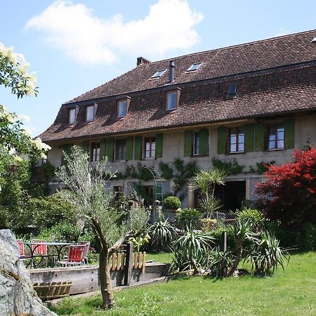 Ofenhaus Villa Murten Bagian luar foto