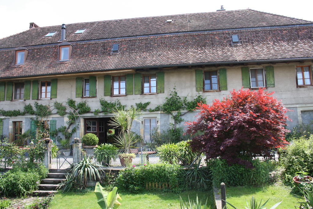 Ofenhaus Villa Murten Ruang foto
