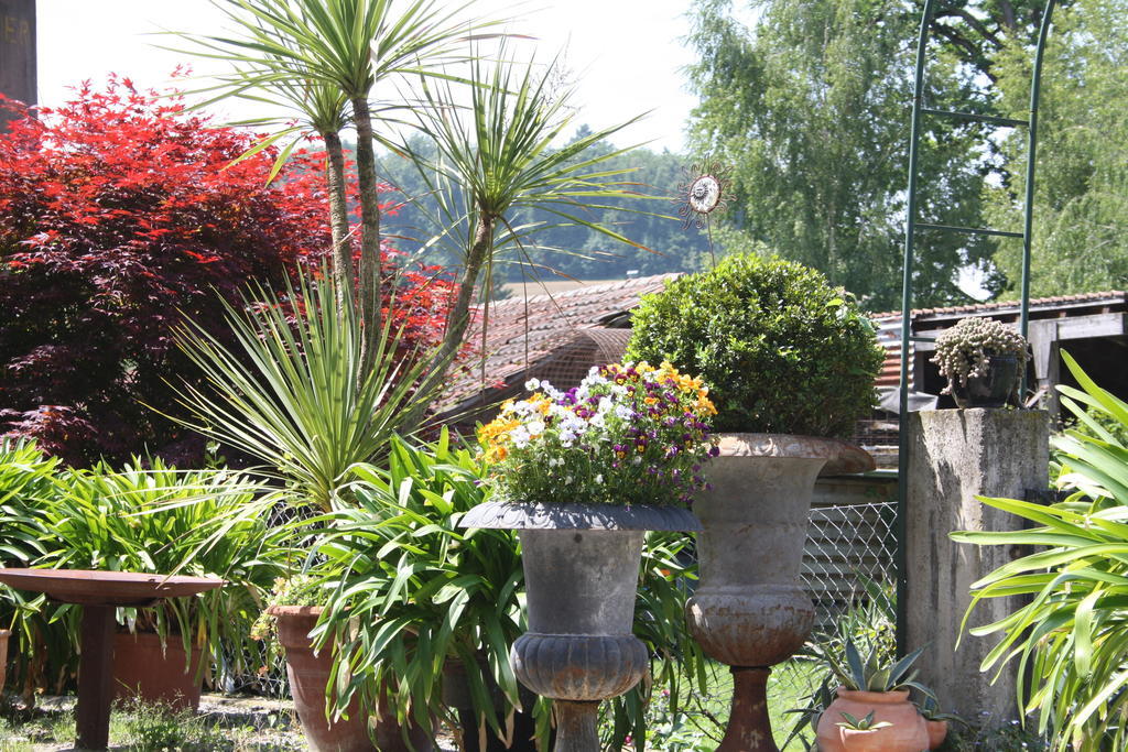 Ofenhaus Villa Murten Ruang foto